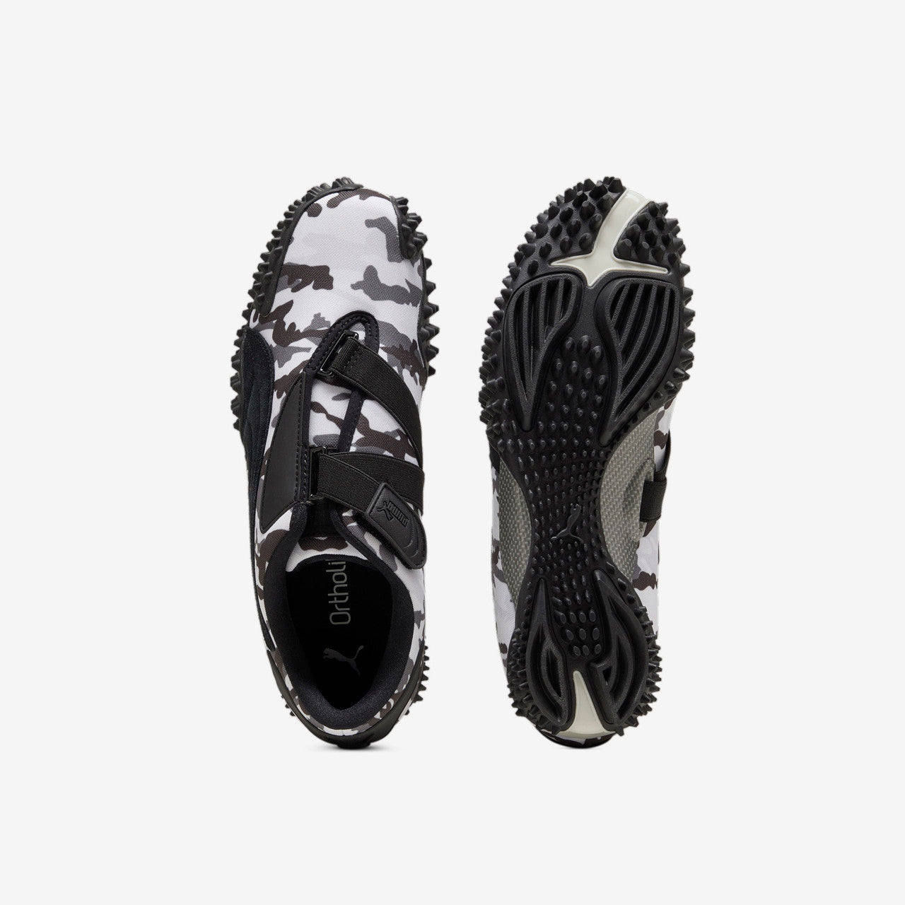 Mostro Camo