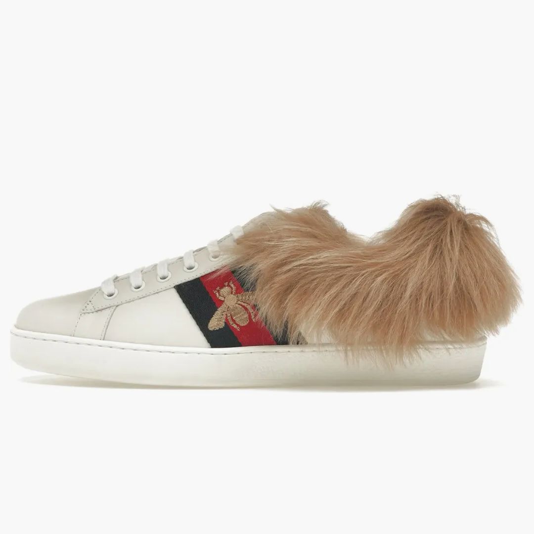 Gucci Ace Fur