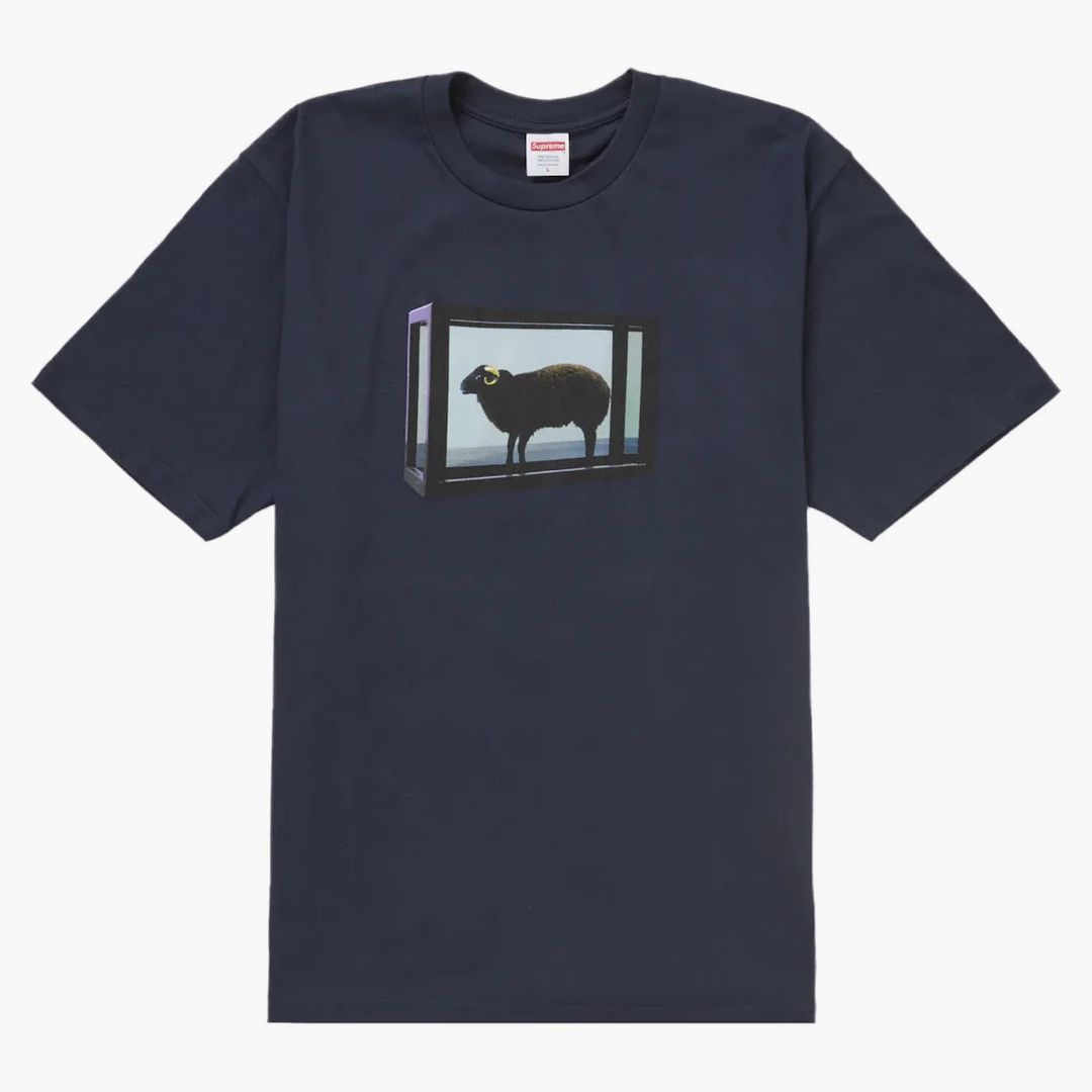 Supreme Damien Hirst Tee Navy